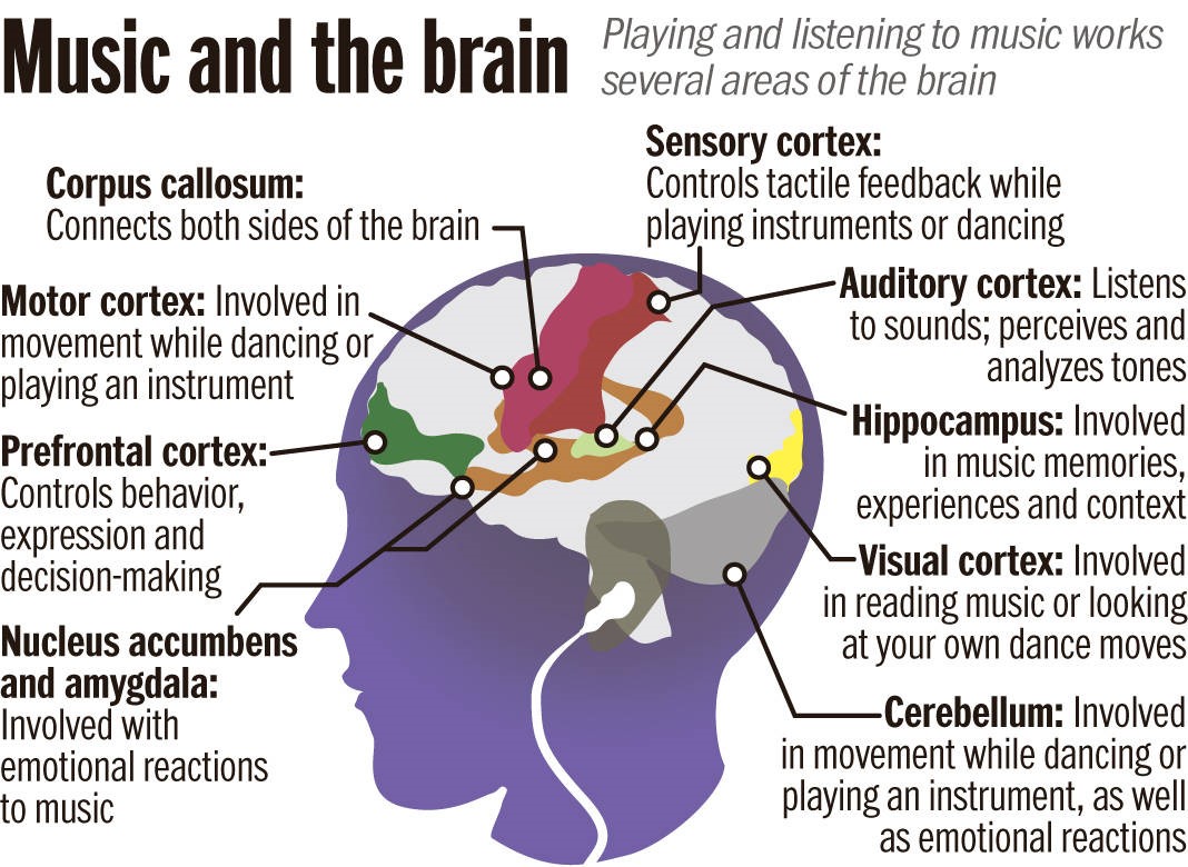 Your Brain On Music Effects Of Music Therapy On Different Functions Of The Brain Upright Magazine 